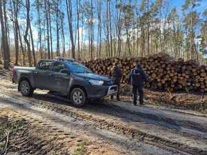 Policjant i strażnik leśny na leśnym dukcie obok składowiska kłód drewna