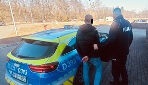 Młody mężczyzna wsadzany do radiowozu