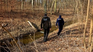 Policjant i strażnik leśny w trakcie patrolu wzdłuż cieku wodnego w lesie