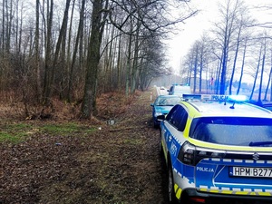 Asfaltowa droga w terenie zadrzewionym, dwa radiowozy i samochód osobowy