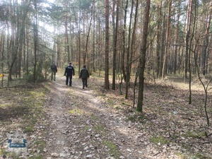 Na leśnej drodze idący policjant i dwóch strażników leśnych
