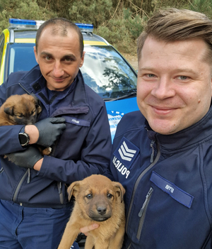 Dwaj policjanci ze szczeniakami na rękach na tle zieleni i radiowozu
