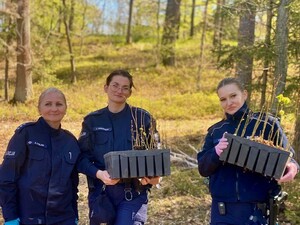 Trzy policjantki z sadzonkami na leśnej polanie