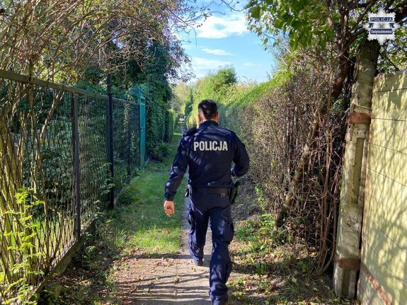 Widziany z tyłu policjant idący alejką działkową
