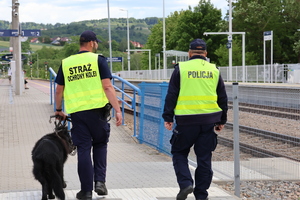 Widziani z tyłu na peronie Strażnik SOK z psem i policjant