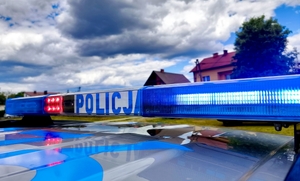 Zbliżenie dachu radiowozu na tle domków jednorodzinnych