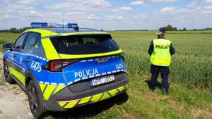 Policjantka obok radiowozu przy polu pszenicy