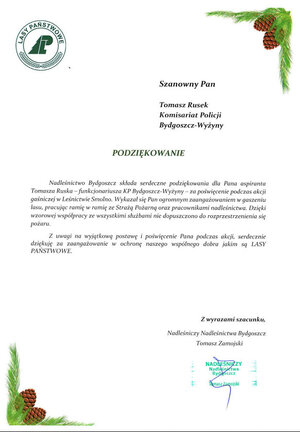 Karta papieru z symbolikami leśnymi zatytułowana podziękowania