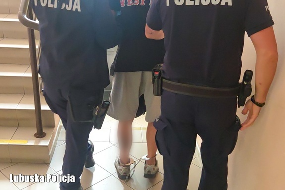 Ujęcie z tyłu, plecy dwójki policjantów sprowadzających zatrzymanego po schodach.