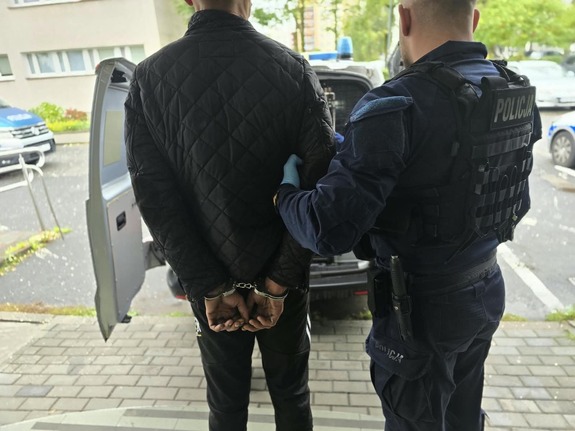 Widziani z tyłu mężczyzna ze skutymi kajdankami rękami oraz policjant przed otwartymi drzwiami tylnymi radiowozu typu bus
