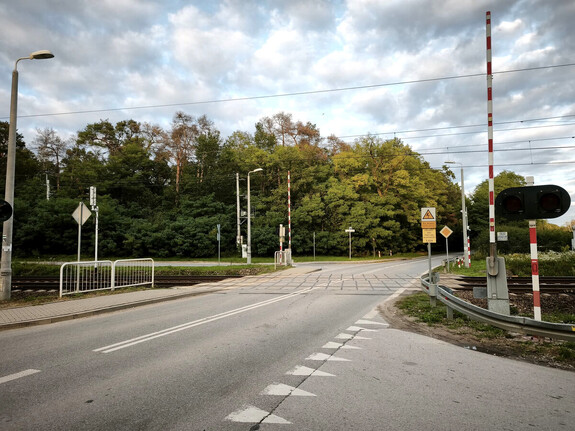 Zdjęcie przejazdu kolejowego otoczonego zielenią